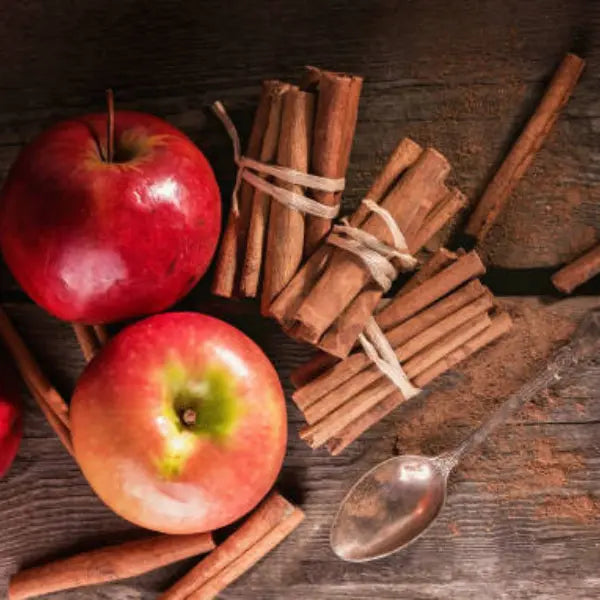 Spiced Apple Chai - Compostable Tea Bags Dragon Girl Tea