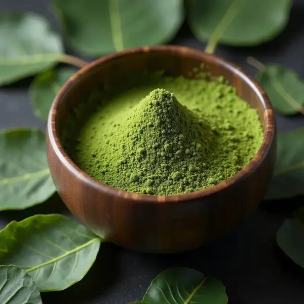 Ceremonial Grade Matcha - Large Size Dragon Girl Tea